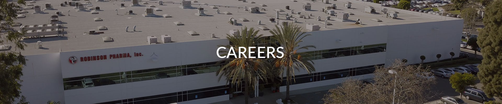banner careers