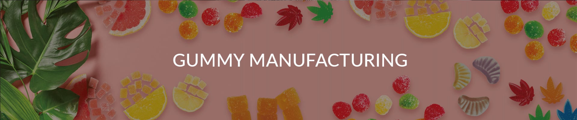 Gummy Manufacturing Robinson Pharma, Inc.
